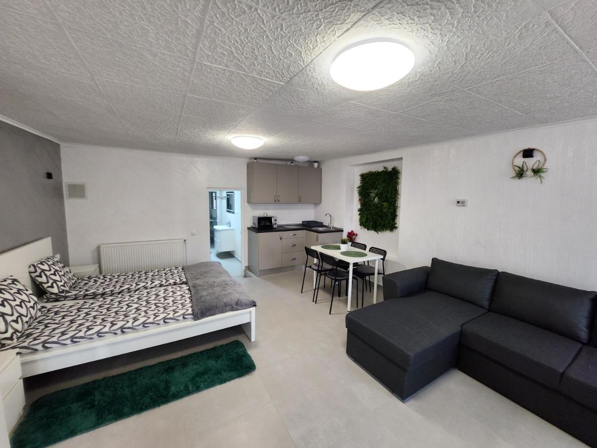 Apartament Dada Sighișoara Zewnętrze zdjęcie