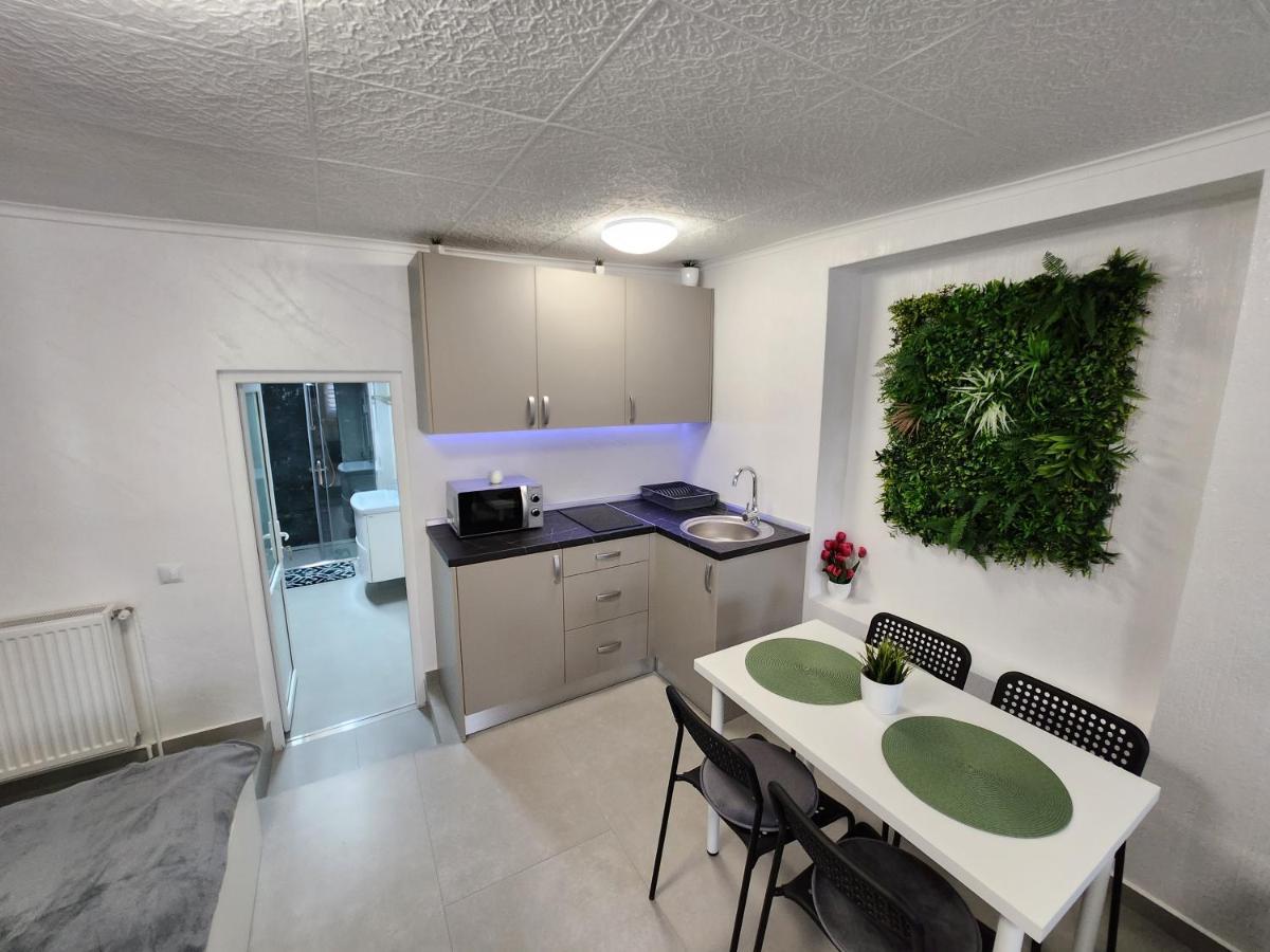 Apartament Dada Sighișoara Zewnętrze zdjęcie